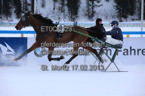 ET0Q0323 prot